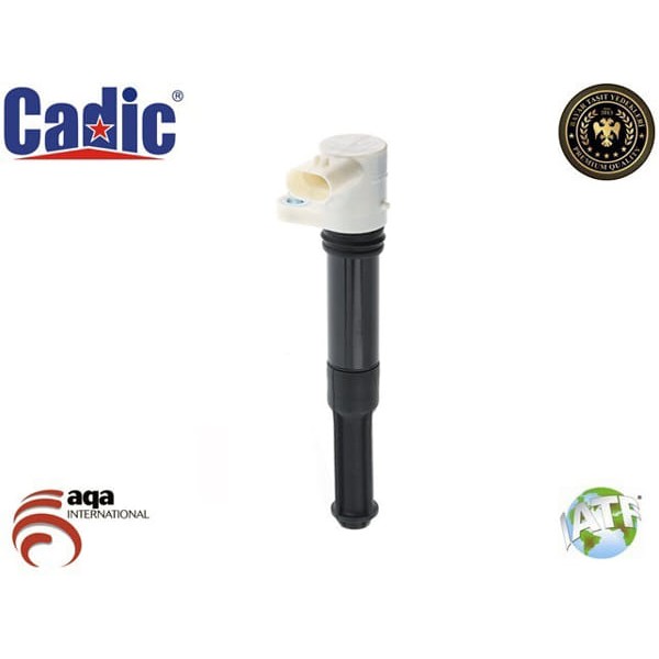 CADIC 45005624 Ateşleme Bobini Fiat Punto 1.4 