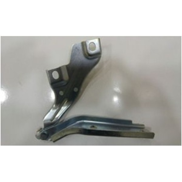 GKL 293012 Motor Kaput Menteşesi Sol Passat 15-