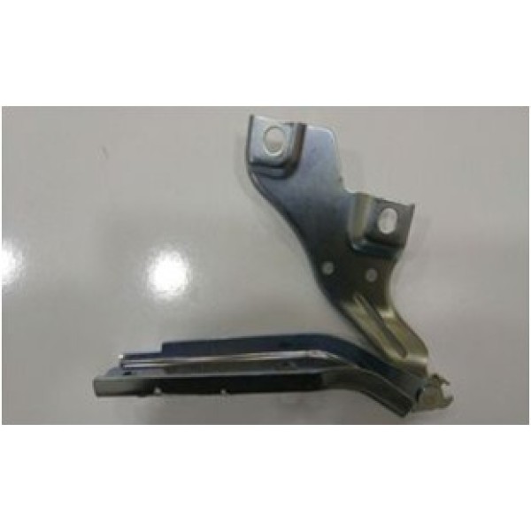 GKL 293013 Motor Kaput Menteşesi Sağ Passat 15-