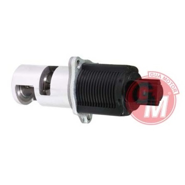 GUA 41505 EGR Valfi Renault CLIO 2-Kangoo-Megan 2 1.5DCI Master 2-Laguna 2.2 00 K9K 