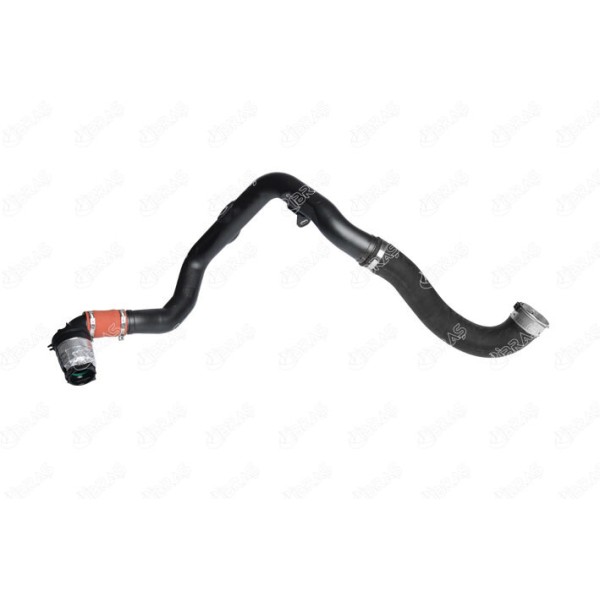 IBRAS 12793 Turbo Hortumları Nv400 Platform Şasi X62. X62B Dci 110