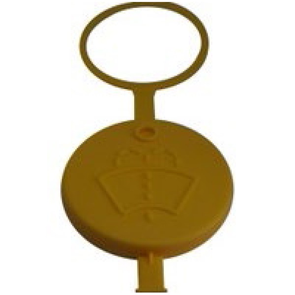 WPI PB5040 Cam Su Depo Kapağı Renault Kangoo Master III