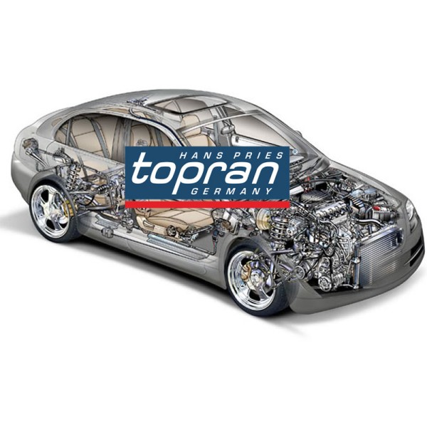 Topran 103757755 Fren Diski Arka Passat-(96-05) Audi 100 (90-94) A6 1.8T-1.9Tdı (94-05) Super B (02-08) (245&times;10&times;5Dl)