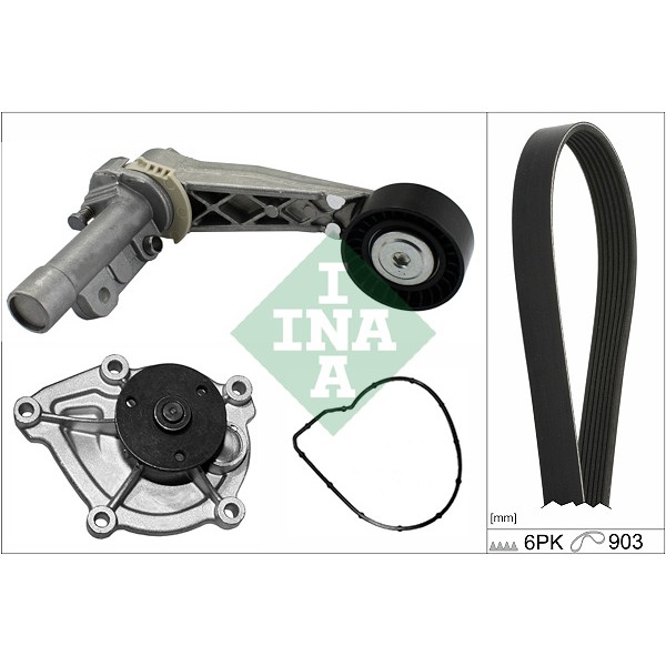 INA 529050430 Su Pompalı KAlternatör V Kayış Gergi Seti Devirdaimlı 207 208 2008 308 3008 508 5008 R 