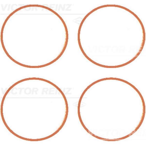 REINZ 11-77639-1 Emme Monıfold Conta Seti